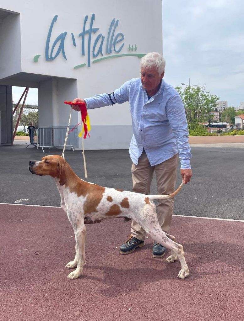 EXPOSITION DE MARTIGUES 2023