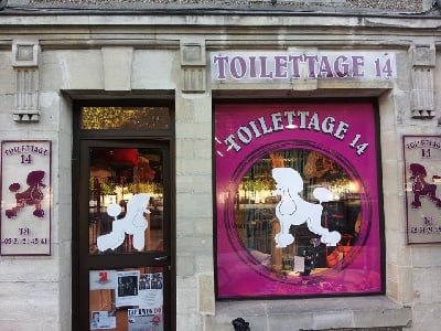 Nouvelle identité visuelle pour le Toilettage 14