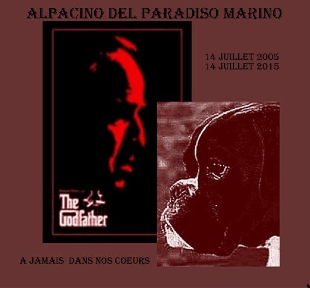 Del paradiso marino - ANNIVERSAIRE  AL PACINO 10 ANS