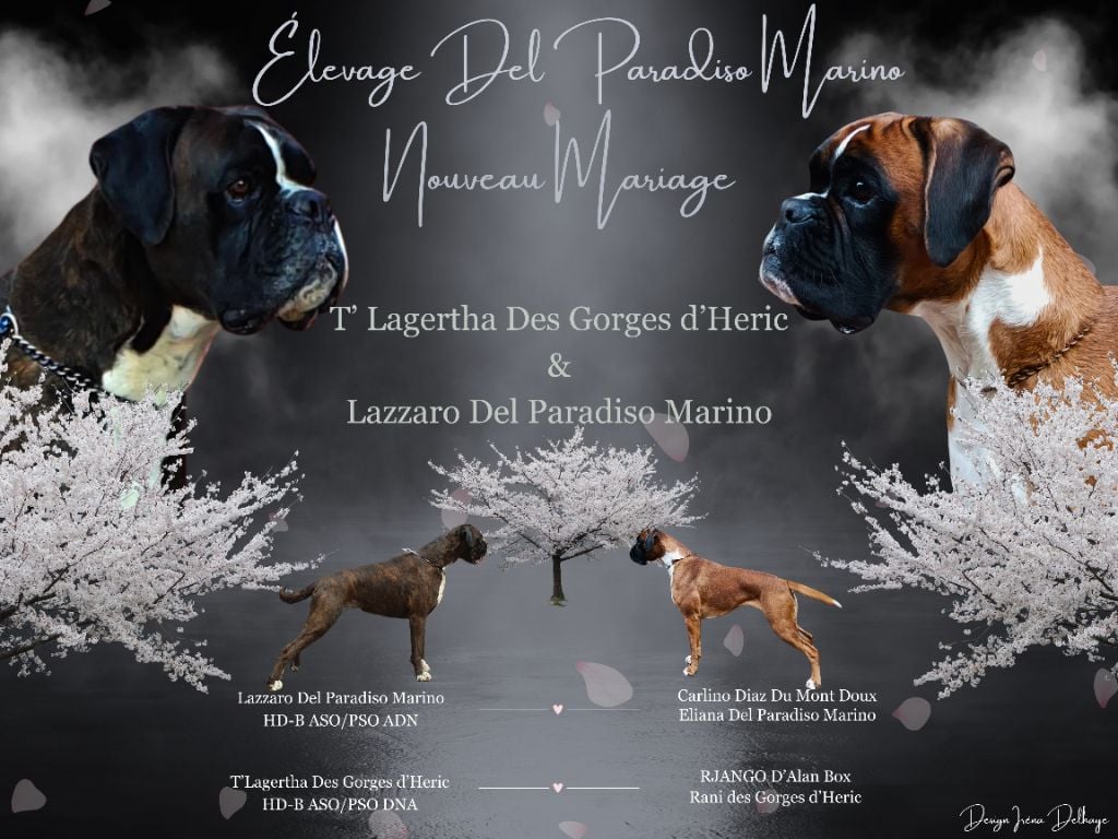 Del paradiso marino - Nouveau Mariage 2024