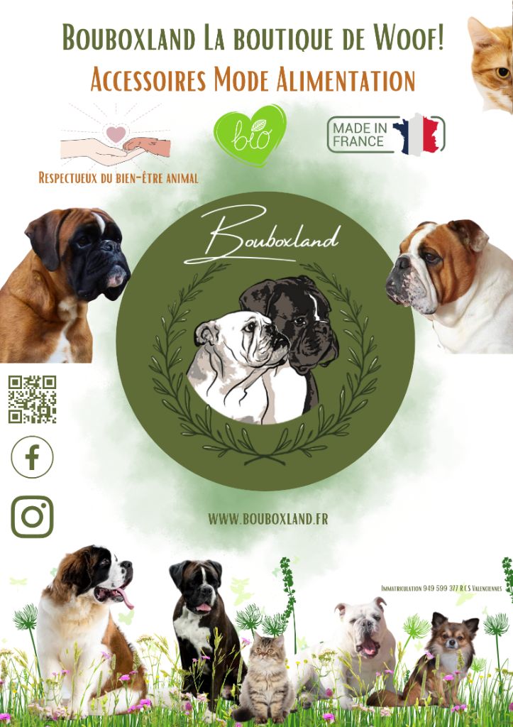 Del paradiso marino - Bouboxland, Votre nouvelle boutique en ligne de Woof!