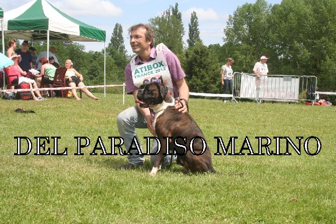 Del paradiso marino - Hommage à mon ami Eric