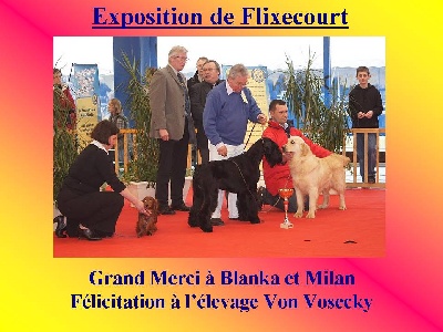 Du chene daniele - Exposition de Flixecourt