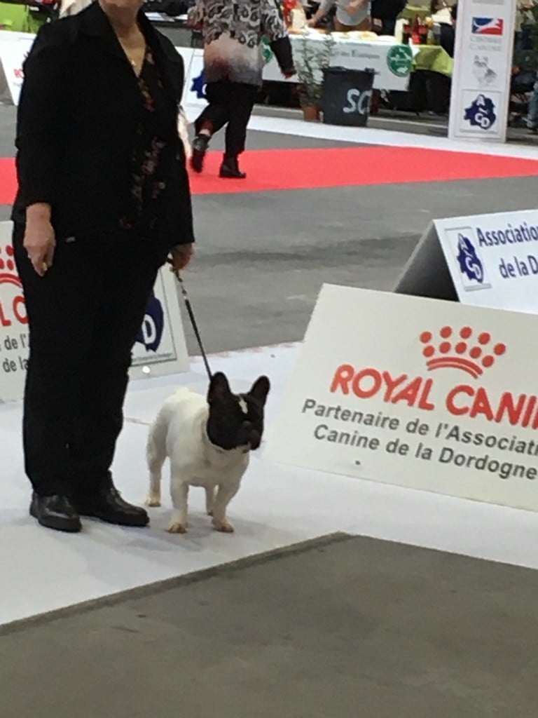 des sables de sarry - EXPOSITION INTERNATIONALE DE PERIGUEUX 