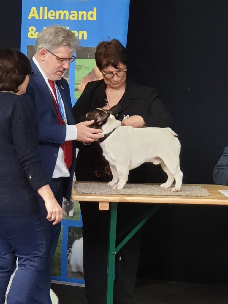 des sables de sarry - EXPOSITIONS INTERNATIONALE DE ROUEN