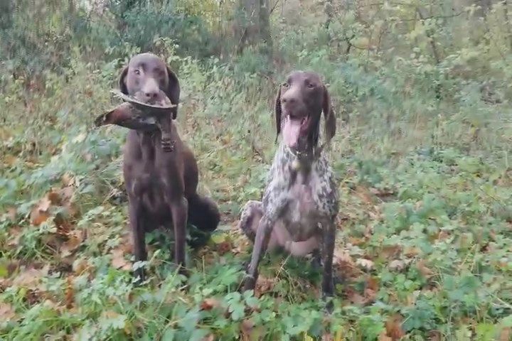 du domaine du framire - HEMMA  (Evita) et OLLIE (Jade) LES 2 CHAMPIONNES