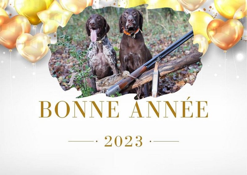 du domaine du framire - BONNE ANNEE 2023 D'HEMMA et OLLIE