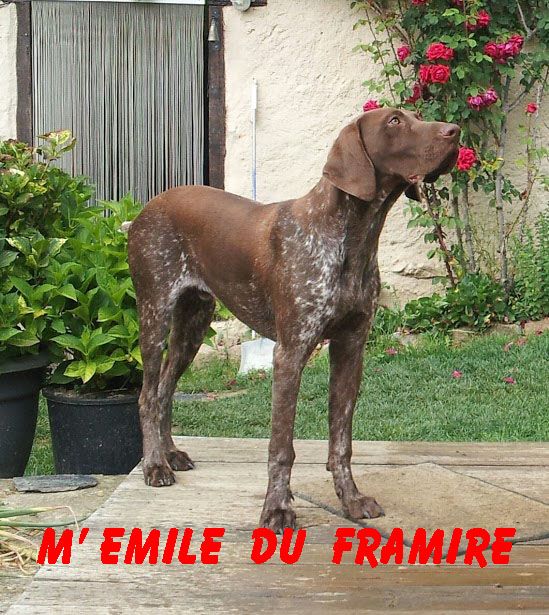 du domaine du framire - LE BEAU M'EMILE (Fiona/Diablo)