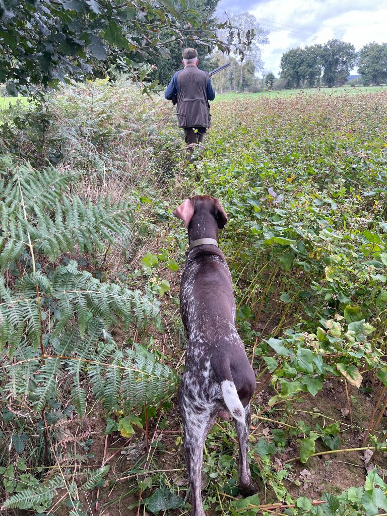 du domaine du framire - SPINOZA (Léa/Mac Gyver) 1ère JOURNEE DE CHASSE