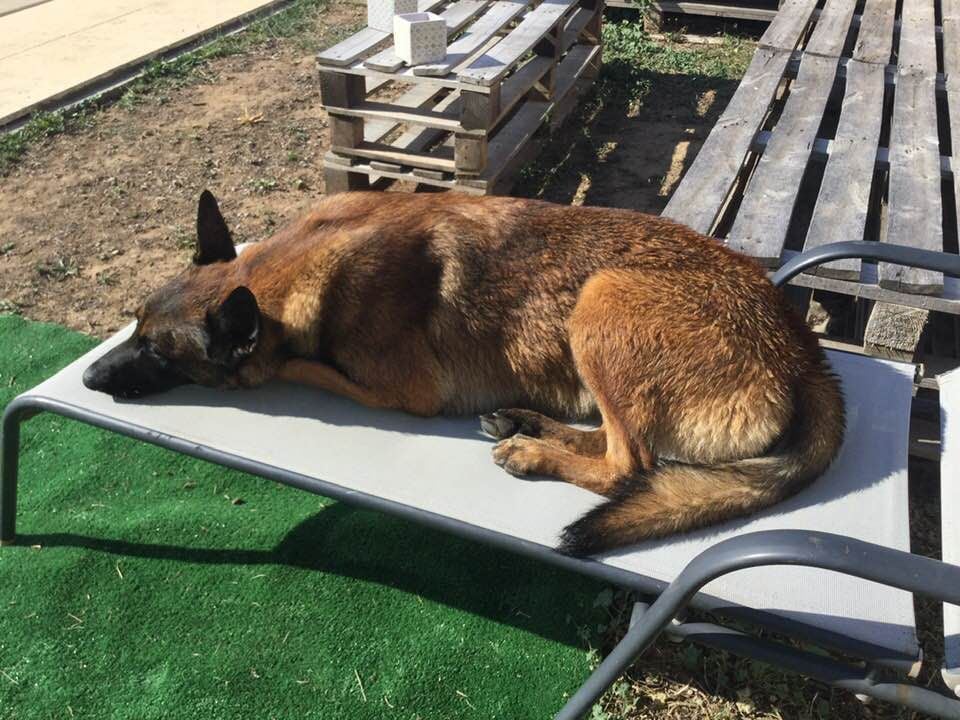 BEN, A TREBES, IL FAIT TRES CHAUD