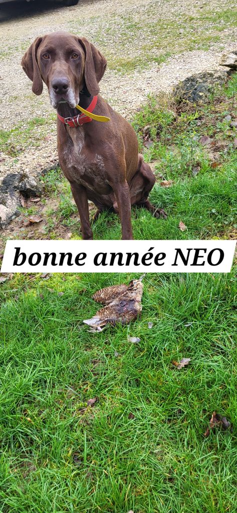 du domaine du framire - NEO (HIP Hip/Dior du Val de Cèze) LES BONS VOEUX