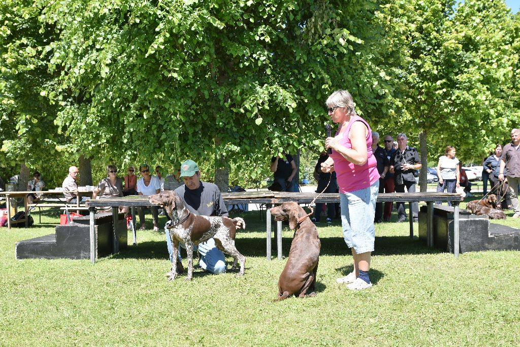 du domaine du framire - PRESENTATION CHAMPIONS NATIONALE D'ELEVAGE 2017