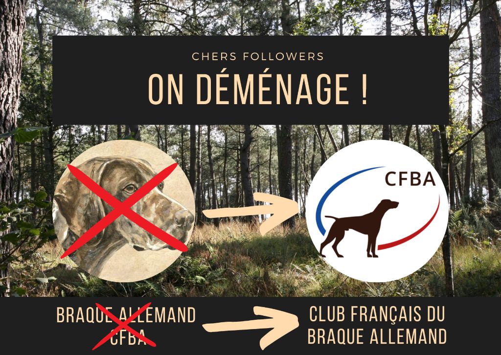 du domaine du framire - LE CFBA DEMENAGE  MAIS TOUJOURS A LA MEME ADRESSE