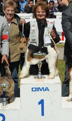 de Vallauris des astucieux - Exposition canine nationale Agen    19/05/2013