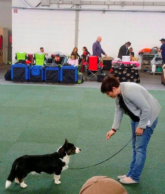 De La Vallée De L'Aumance - Expo Int. de Saarbrücken, Allemagne