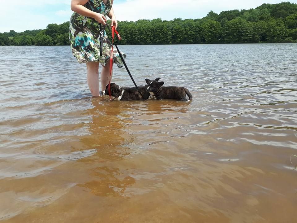 De La Vallée De L'Aumance - 3/6/2018 Sortie au marché et plan d'eau