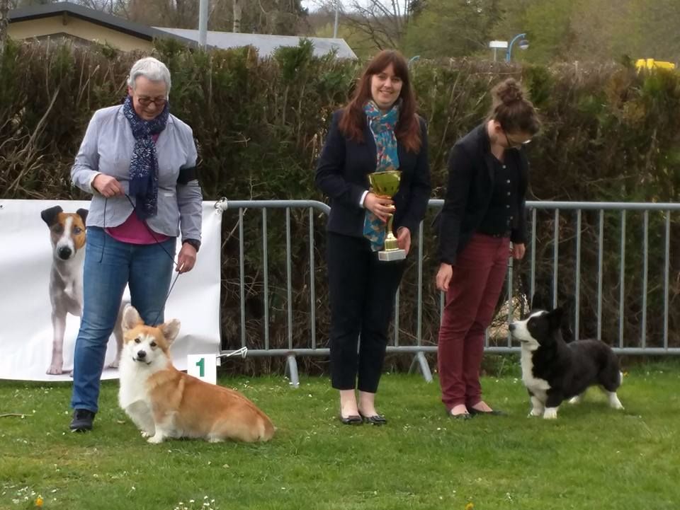 De La Vallée De L'Aumance - 2/4/2017: RE à Saint-Honoré-Les-Bains