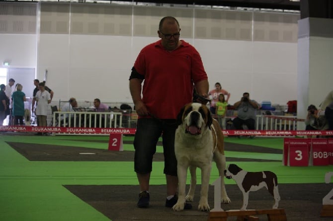 De La Petite Suisse Lorraine - CHAMPIONNAT DE FRANCE  DIJON  06 06 2015 