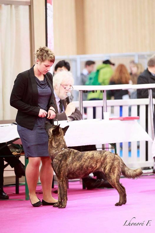 An Erminig - Salon International de l'Agriculture