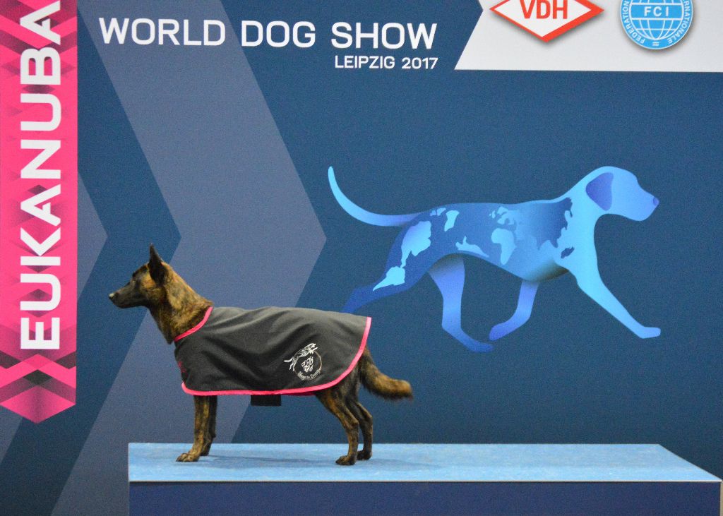 World Dog Show - Leipzig 2017