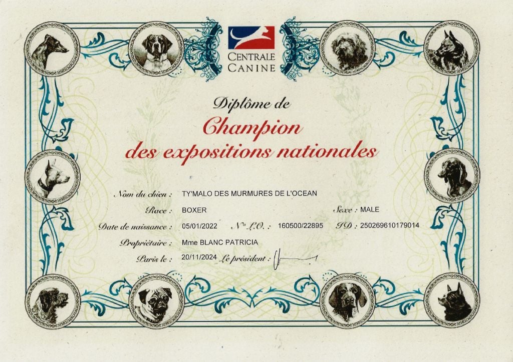 des murmures de l'océan - Titre de de Champion des Exposition nationales pour Ty'Malo