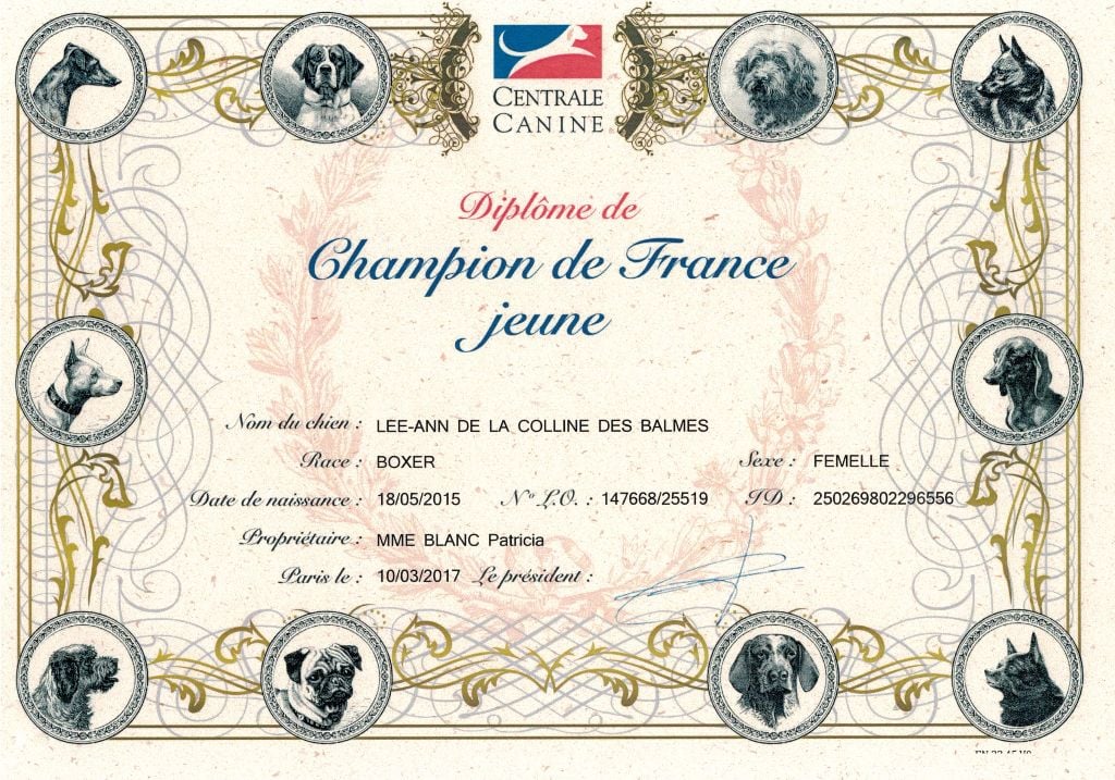 des murmures de l'océan - DIPLOME CHAMPION DE FRANCE "JEUNE"