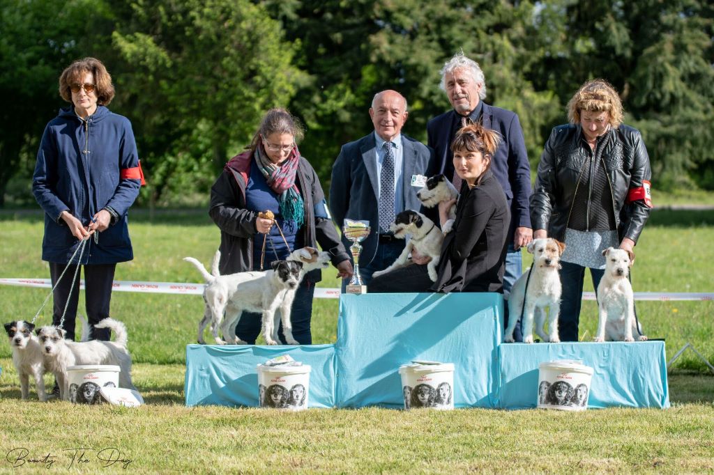 3ème meilleur couple a la Nationale d élevage 2019