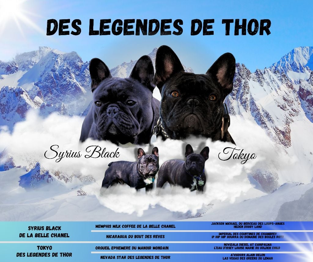 Des Legendes De Thor - Notre nouveau mariage