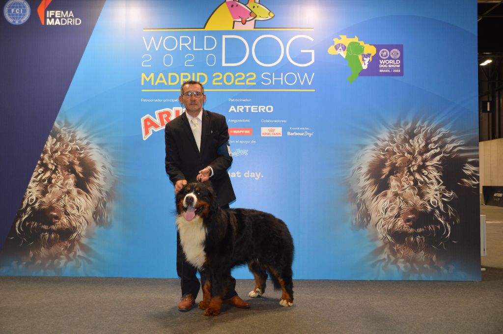 du Domaine du Chai de Majolan - WORLD DOG SHOW SPECIAL CAC 