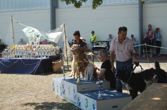 du Domaine du Chai de Majolan - Exposition National Biganos 2014