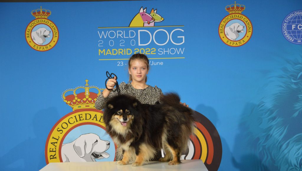 du Domaine du Chai de Majolan - WORLD DOG SHOW SPECIAL CAC 