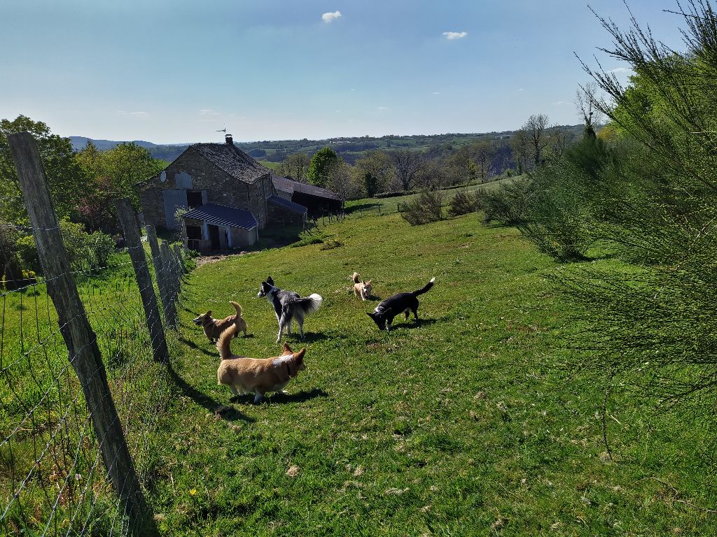 Des Boroillots - Les Boroillots en Aveyron...