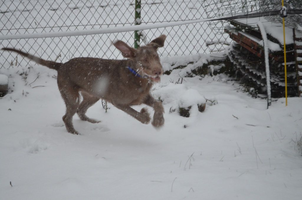 des Légions d' Elroy et Fiona - Rablais découvre la neige.