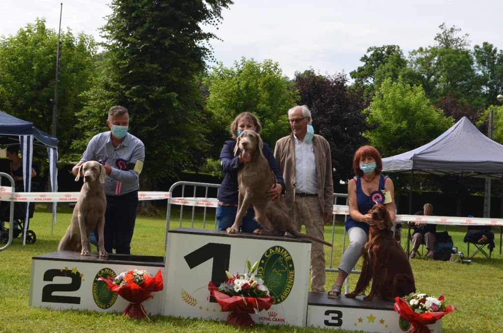 des Légions d' Elroy et Fiona - 1 ère expo, 1 er podium