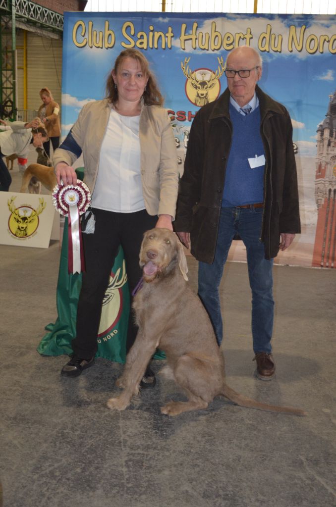 Meilleur de Groupe à Maubeuge