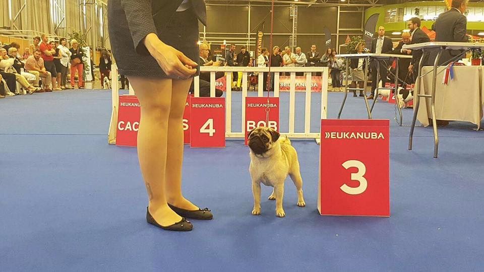 Des Bouilles De Clown - Massilia Olympie des Bouilles de Clown au championnat de France