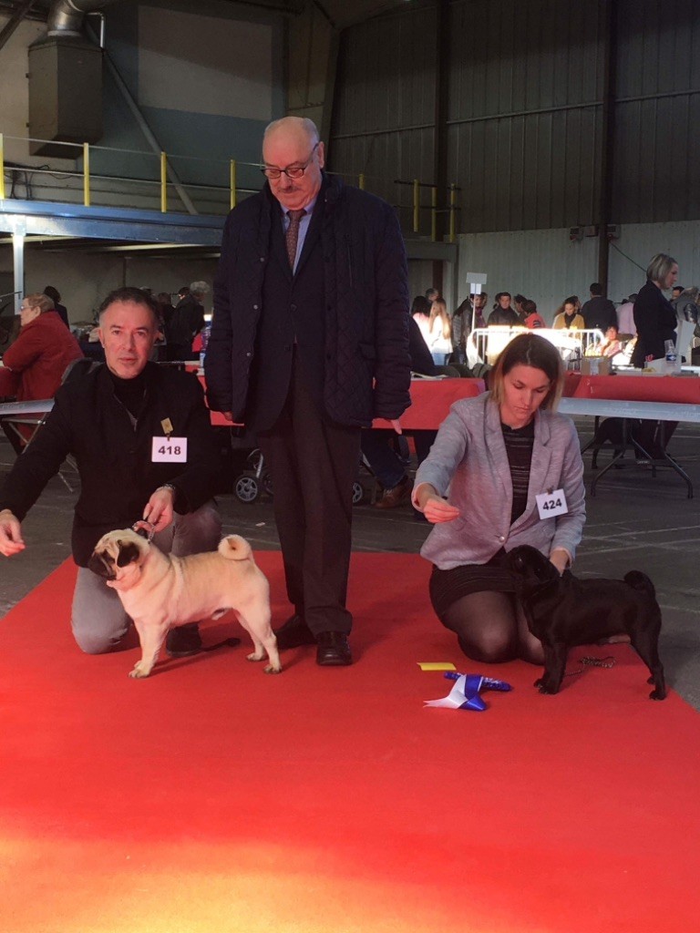 Des Bouilles De Clown - Super Spéciale  de Tarbes