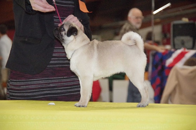 Des Bouilles De Clown - Massilia Olympie des Bouilles de clown 