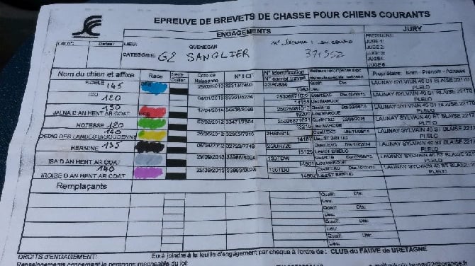 Brevet de chasse sanglier Quenecan 2016.