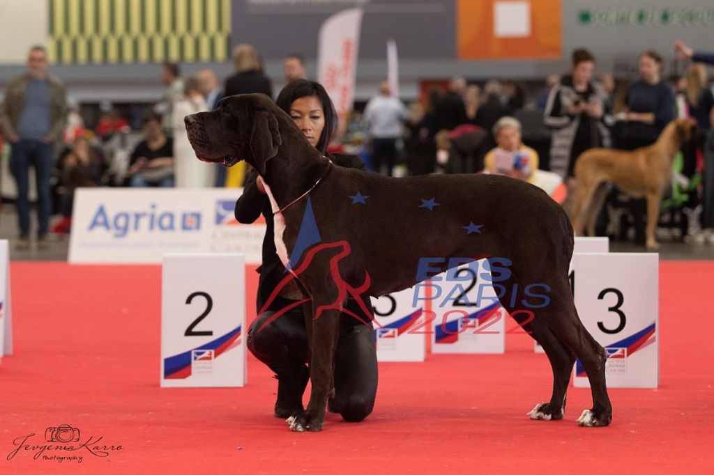 Des Terres De Romandor - Championnat de France et EDS