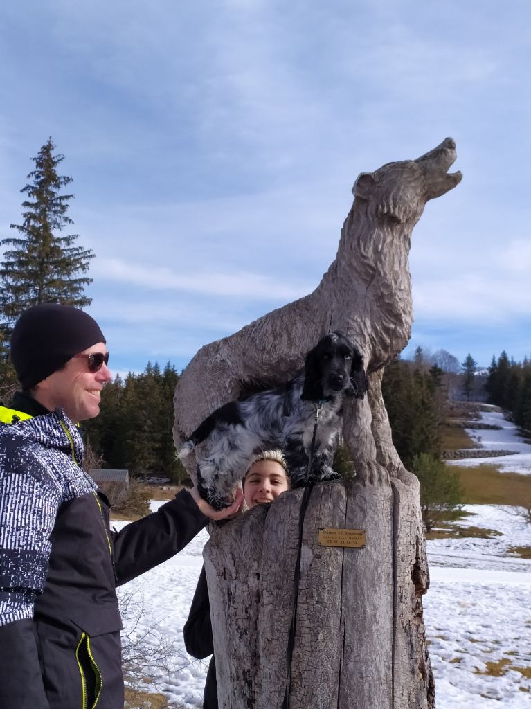 Des Doux Rêves D'Abby - Rogue et le loup...