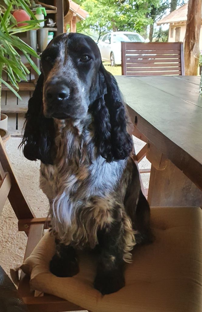 Des Doux Rêves D'Abby - Prusse est venue nous faire un petit coucou...trop sympa