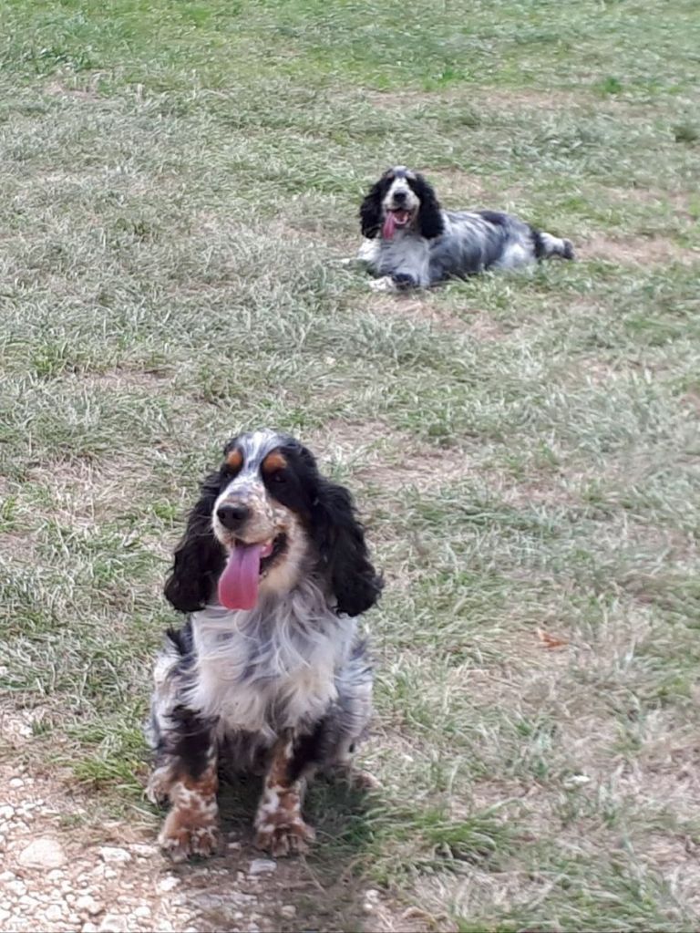 Des Doux Rêves D'Abby - Magic et Melchior...