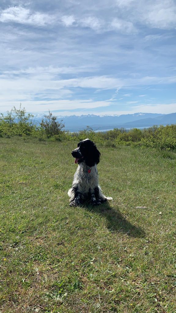 Des Doux Rêves D'Abby - R'itaca en balade