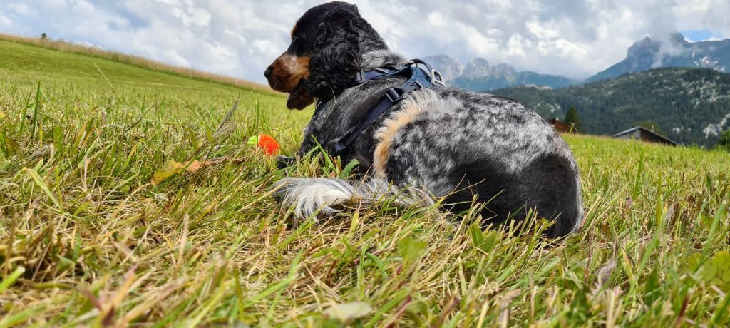 Des Doux Rêves D'Abby - Harry admire la nature