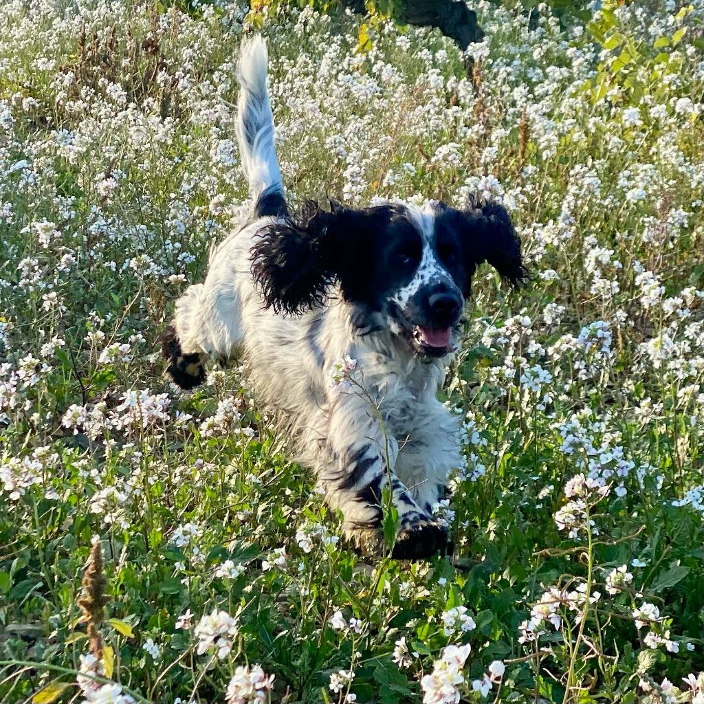 Des Doux Rêves D'Abby - Réo s'envole......