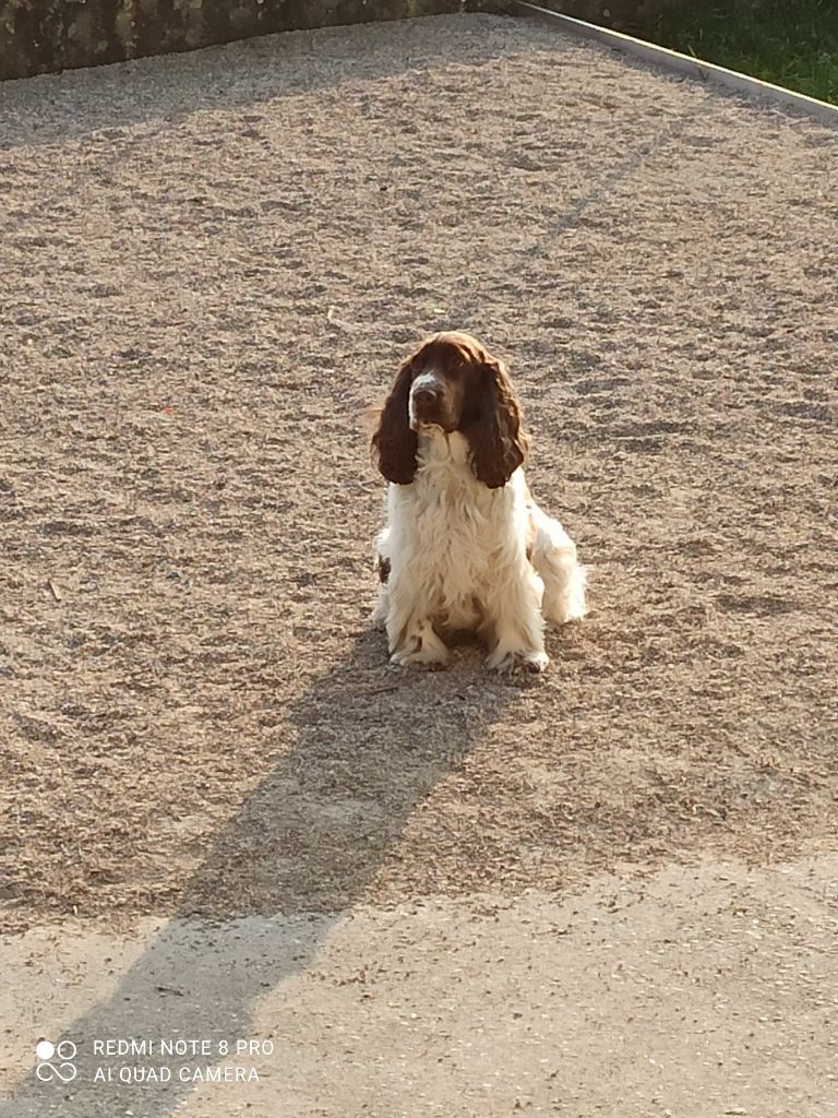 Des Doux Rêves D'Abby - Max le beau gosse