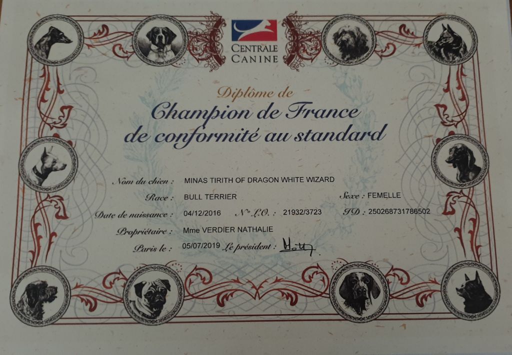 Jumpy officiellement championne de france