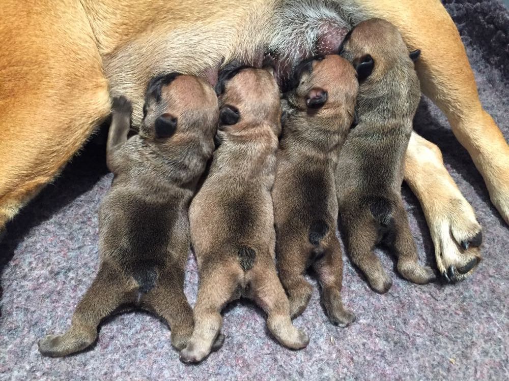 Du Petit Faubourg - Bienvenue aux bébés !