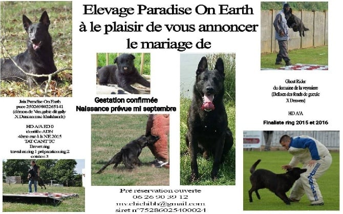 Paradise On Earth - Naissance imminente!!!